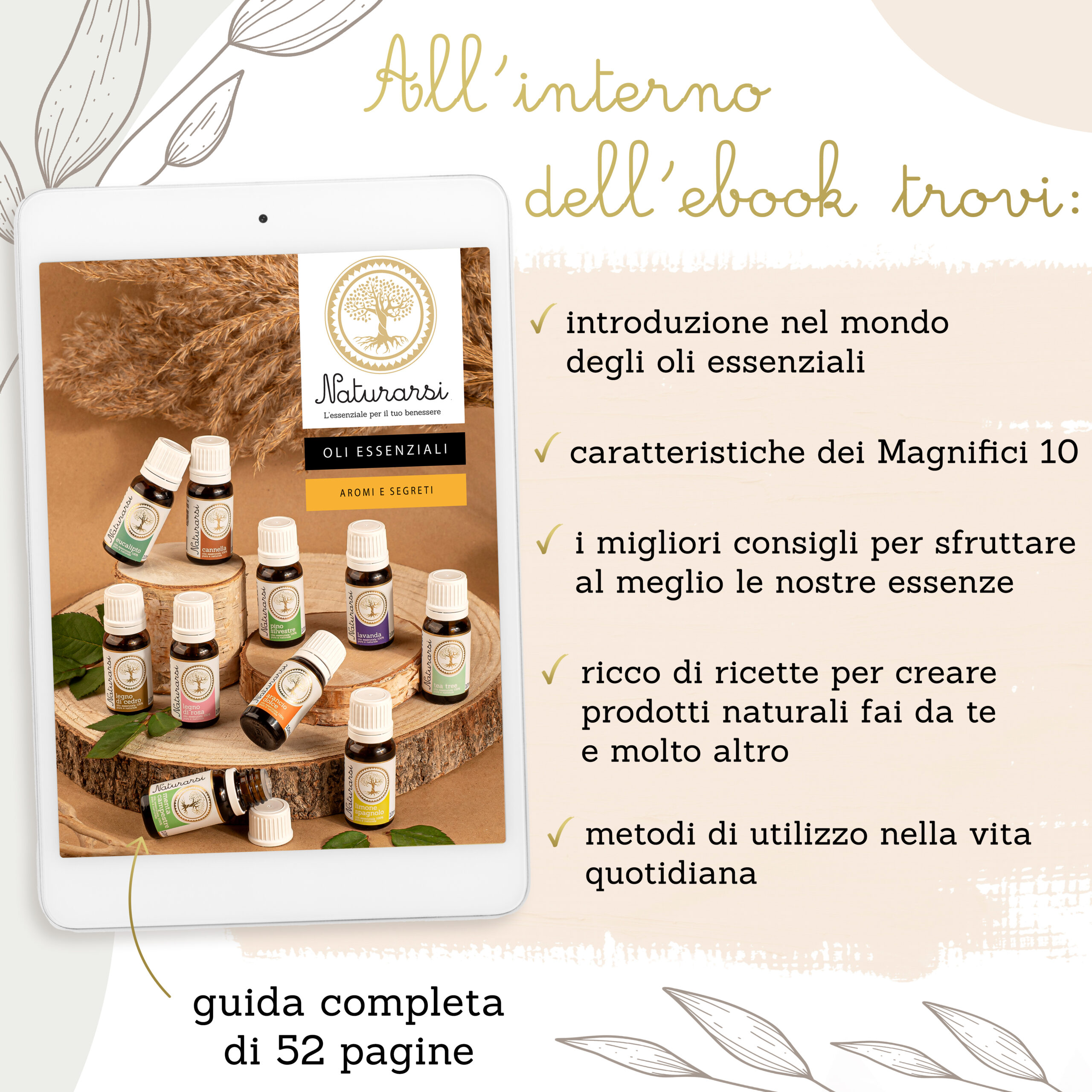 Olio essenziale Legno di Cedro 100% puro e naturale 10 ml - immagine 3