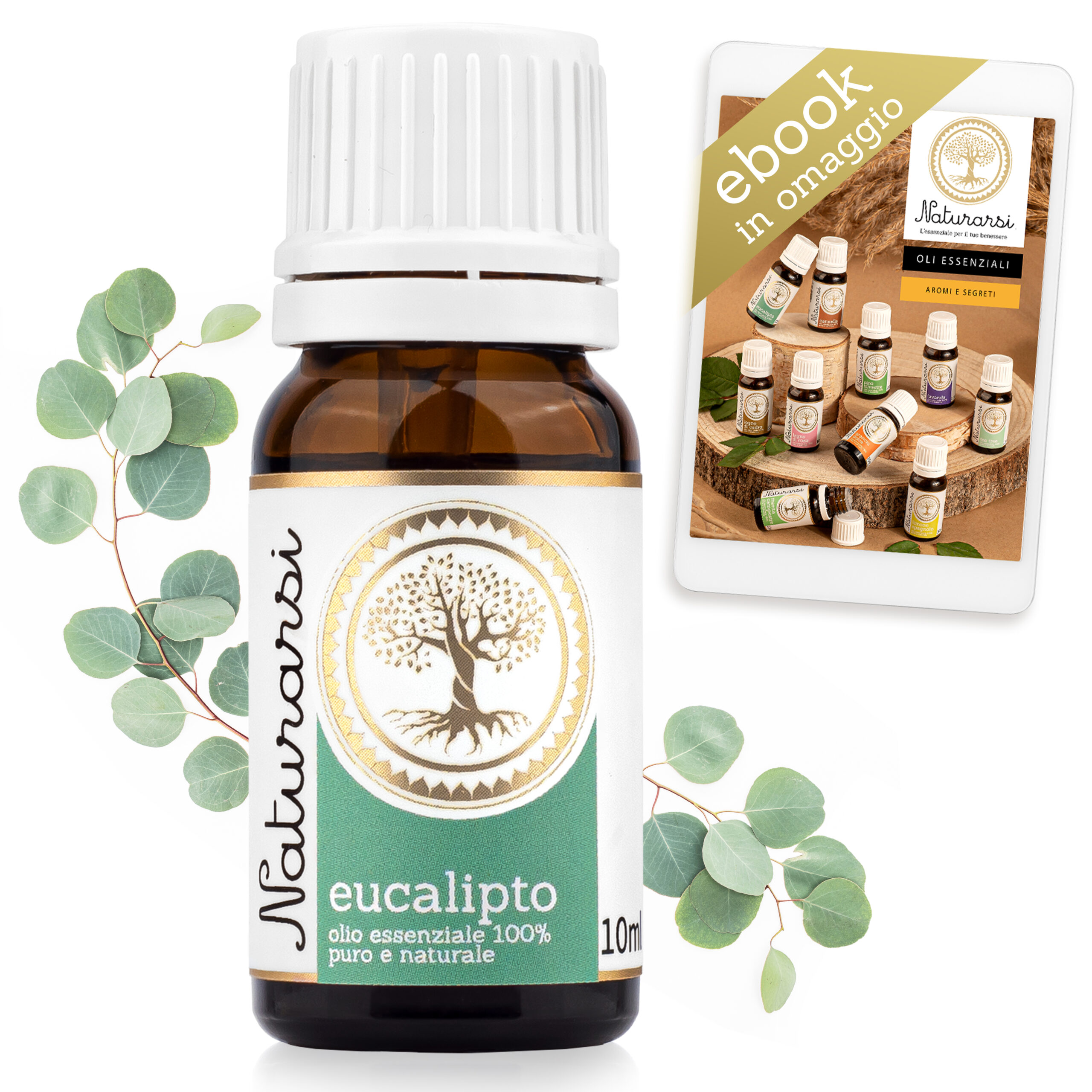 Olio essenziale Eucalipto 100% puro e naturale 10 ml - immagine 2